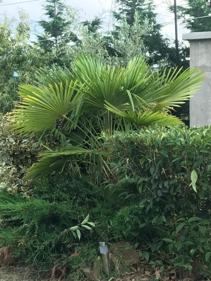 Casa Dei Fiori Villa Aszproválta Kültér fotó
